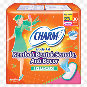 Charm Body Fit Extra Maxi Non Wing 30P Pack