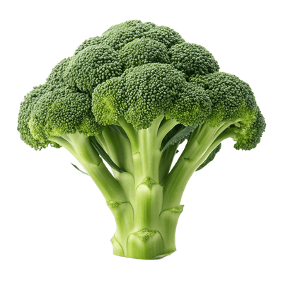 Brokoli Organik Segar - Bebas Pestisida (500 gr)
